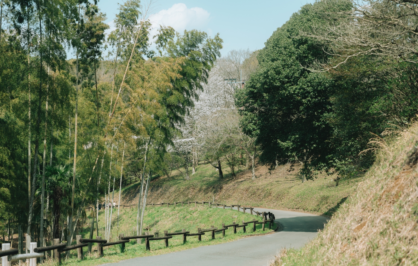立田山自然公園